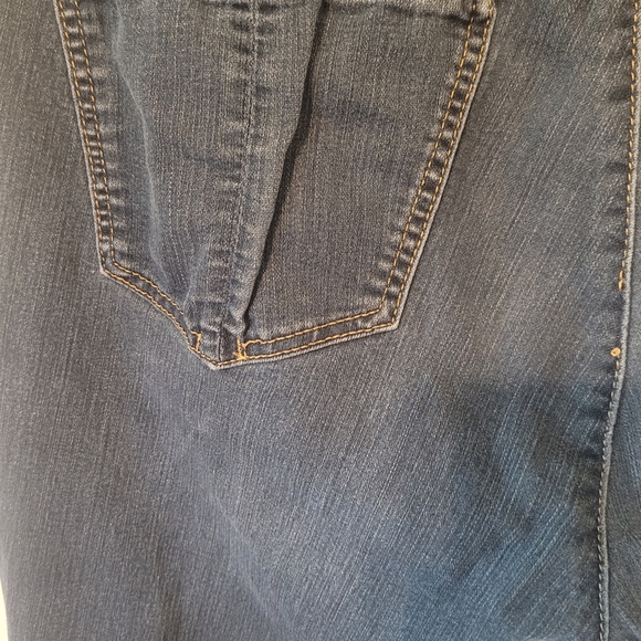 Democracy Ab Solution Jeans (22W) - Picture 6 of 8